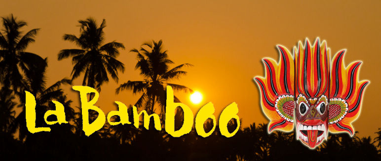 La Bamboo Logo 